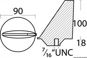 Anodo pinna Mercury poppieri