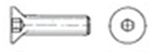 Brugole 3x30 AISI 316 316.7991/3X30