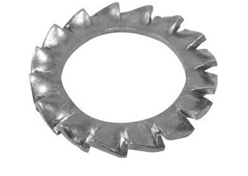 Rondelle dentellate 6 AISI 304 DENT6
